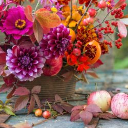 Der Herbst wird bunt: Zeit für neue Farben!