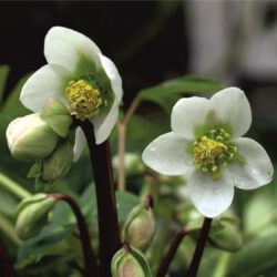 Wir wünschen Ihnen einen guten Start ins Neue Jahr!